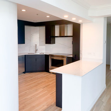 Post Oak - High Rise Condo - Full Remodel
