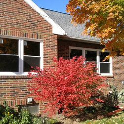 Replacement Windows Elizabethtown PA - Windows