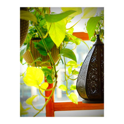 Balcony Lounge_Vertical Green Ecosystem development - Lighting