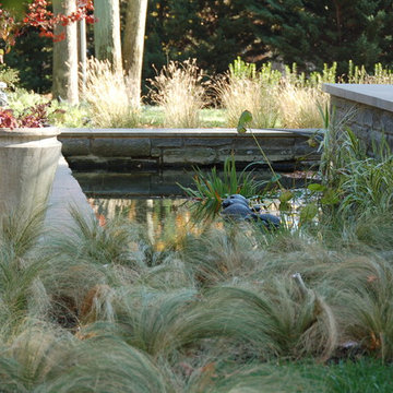 Water Feature