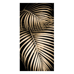 Douglas Page Photographic Arts - Palm Design 8, Fine Art, 20"x40" - Prints And Posters