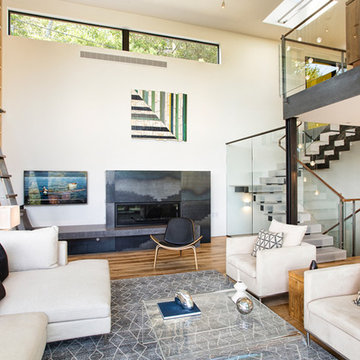 HillSide House- Mill Valley