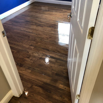 Custom Stain QC-37