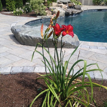 Field photos of our current pool project