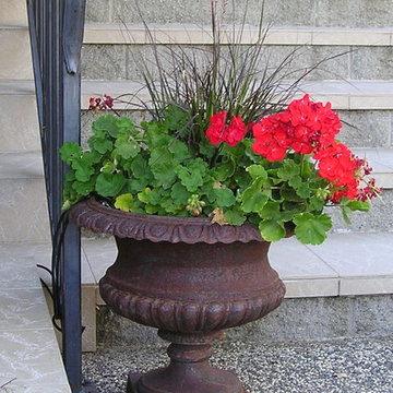 Geranium and grass in a metal urn