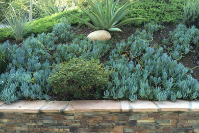 Photo of a landscaping in Los Angeles.