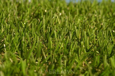 EverLawn® Pearl Artificial Grass