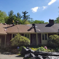 Asphalt Roof on Ranch - Roofing And Gutters