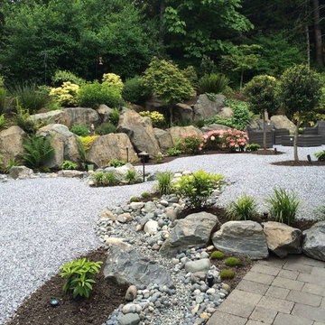 No Lawn