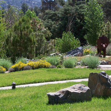 Mountain Home/Ranch
