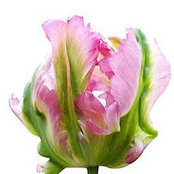 Elizabeth Frost's photo