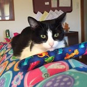 Mary Terese Giblin's photo