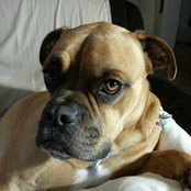 Brett McKenna's photo