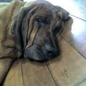Robin Lakatos's photo