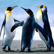 Andrea Converse's photo