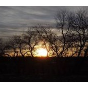 Gail McCurdy's photo