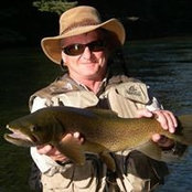 Scott Watkin's photo