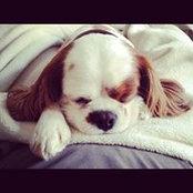 Dawn Aranda's photo