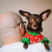 Jimmy Favaron's photo