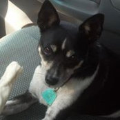 Wendi Daugherty's photo