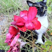 Christie Buchanan's photo