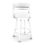 Pure White Frame - Blizzard White Seat