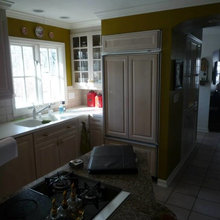 Amazing Kitchen and Family Room
