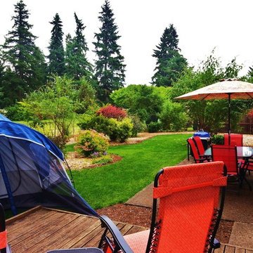 LANDSCAPE MAKEOVER: JUNGLE TO PARADISE