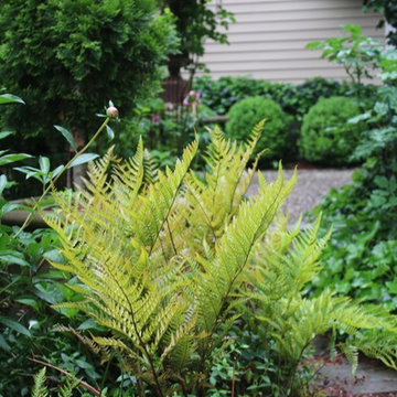 Rosebrook Garden 2017 Garden Tour
