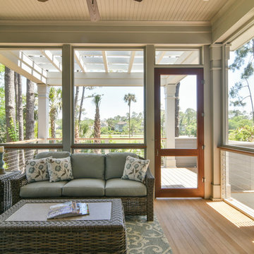 Glossy Ibis, Kiawah Island