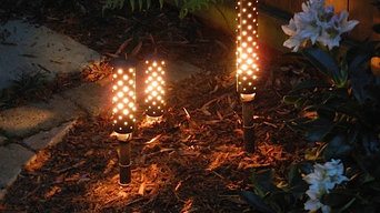 Elizabeth Neighborhood