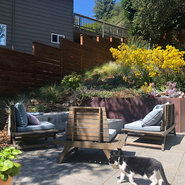 Unified Hillside Terrace
