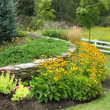 Front Landscape