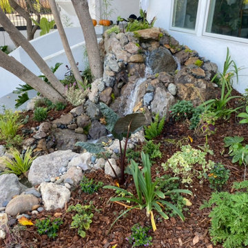 Encino Pond, Pondless Waterfall & Landscape Project