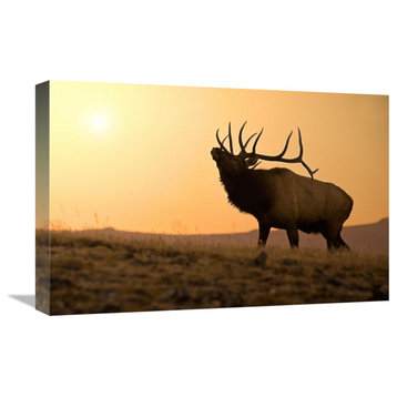 "Bull Elk at Sunset" by Vic Schendel, 22"x15"