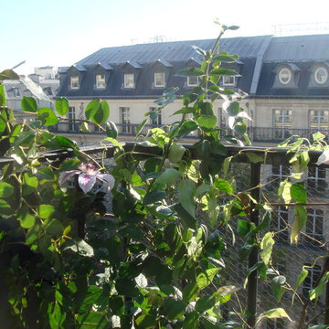 Un micro balcon à Paris Opéra...