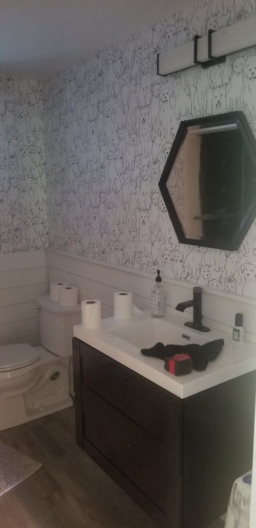 Paint Powder Room Shiplap Black?