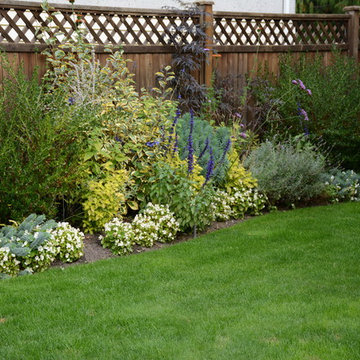 Poolside Garden and Containers