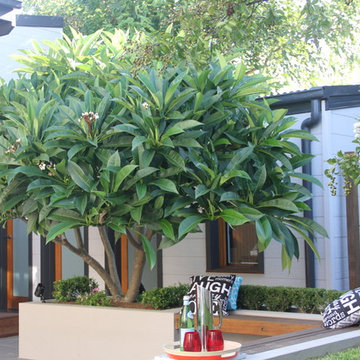 inner west entertainer