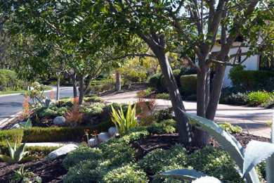 This is an example of a huge mediterranean drought-tolerant and full sun front yard garden path in San Diego.