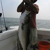 Hilik Abekassis's photo