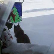 Christine Riddle's photo