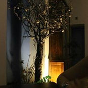 Foto von Cortile Patania