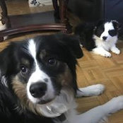 Christopher Smith's photo