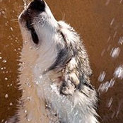 Mary Uhlir's photo