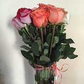 Kim Dutchess's photo