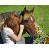 Kathy Allison's photo
