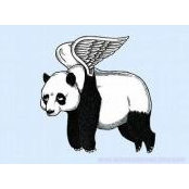 Angela Xue's photo