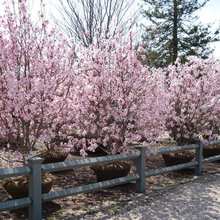 8 Fair Hills Lane Landscape Ideas