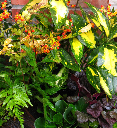 que planter dans son jardin en octobre